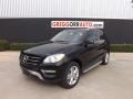 Black - ML 350 4Matic Photo No. 2