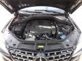 Black - ML 350 4Matic Photo No. 12