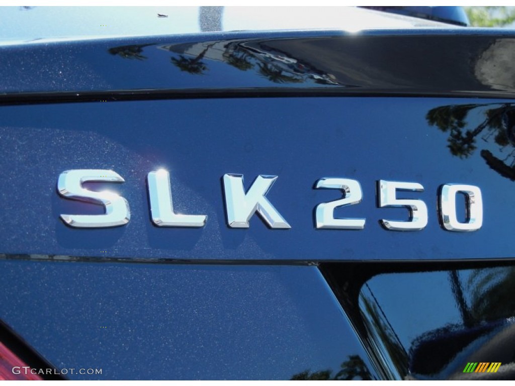 2013 SLK 250 Roadster - Black / Ash/Black photo #5
