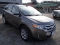 2013 Mineral Gray Metallic Ford Edge Limited AWD  photo #3