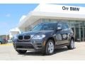 Platinum Gray Metallic - X5 xDrive 35i Photo No. 1