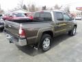Pyrite Mica - Tacoma V6 SR5 TRD Double Cab 4x4 Photo No. 29