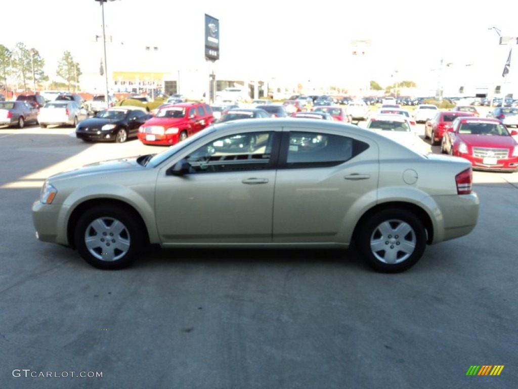 2010 Avenger SXT - White Gold / Dark Slate Gray photo #5