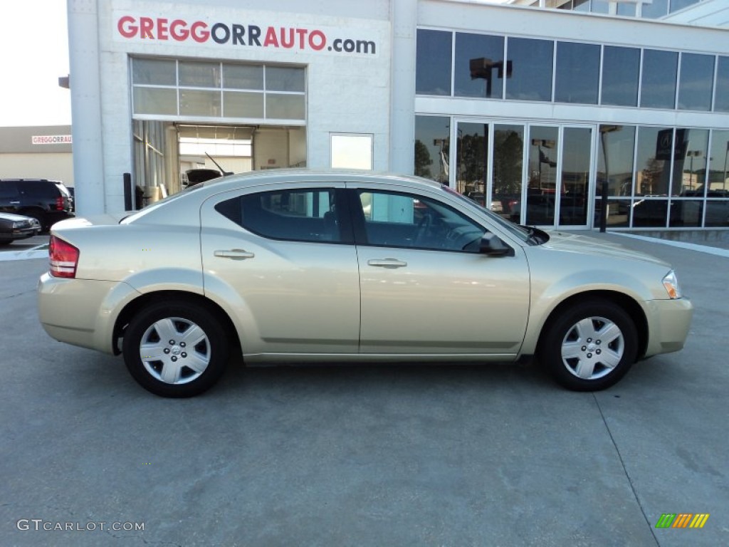 2010 Avenger SXT - White Gold / Dark Slate Gray photo #6