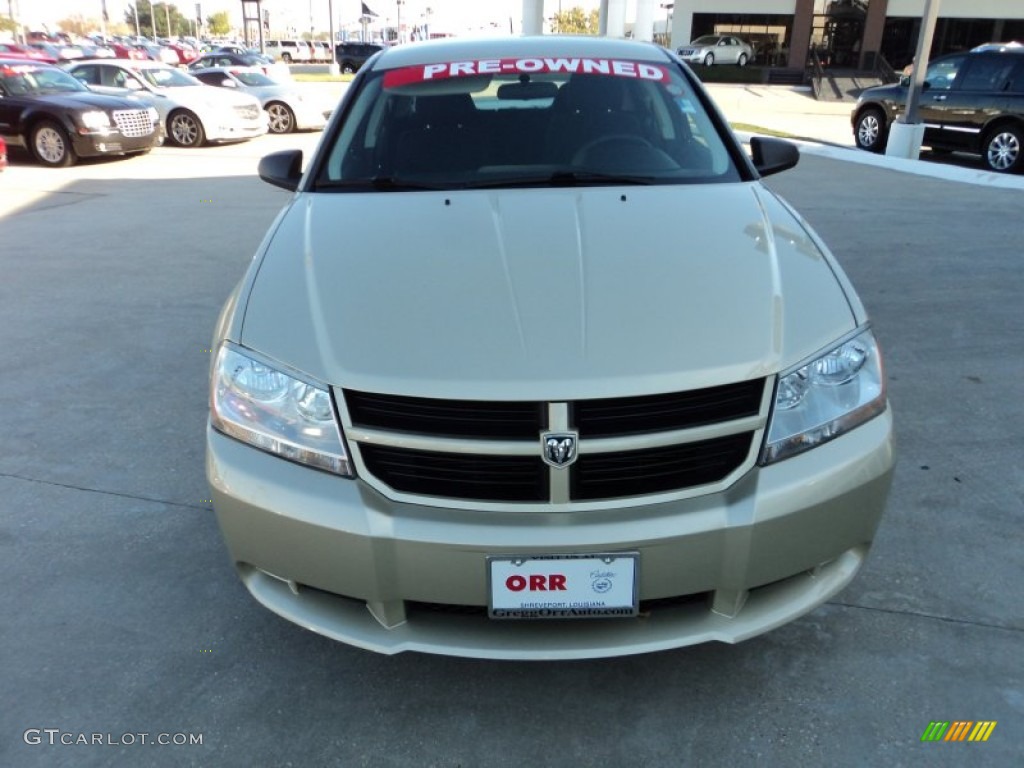 2010 Avenger SXT - White Gold / Dark Slate Gray photo #7