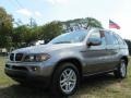 Sterling Grey Metallic - X5 3.0i Photo No. 1
