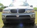 Sterling Grey Metallic - X5 3.0i Photo No. 2