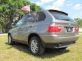 Sterling Grey Metallic - X5 3.0i Photo No. 6