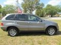 Sterling Grey Metallic - X5 3.0i Photo No. 13