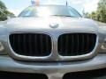 Sterling Grey Metallic - X5 3.0i Photo No. 49