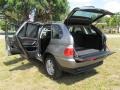 Sterling Grey Metallic - X5 3.0i Photo No. 59