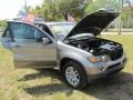 Sterling Grey Metallic - X5 3.0i Photo No. 61