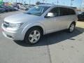 2009 Bright Silver Metallic Dodge Journey SXT AWD  photo #3