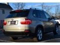 Platinum Bronze Metallic - X5 3.0si Photo No. 7