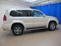 Savannah Beige Metallic - GX 470 Photo No. 8