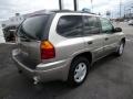 Pewter Metallic - Envoy SLE 4x4 Photo No. 7