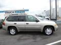 Pewter Metallic - Envoy SLE 4x4 Photo No. 8