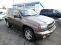 2008 Desert Brown Metallic Chevrolet TrailBlazer LT 4x4  photo #1