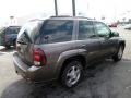 Desert Brown Metallic - TrailBlazer LT 4x4 Photo No. 7