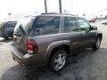 2008 Desert Brown Metallic Chevrolet TrailBlazer LT 4x4  photo #7