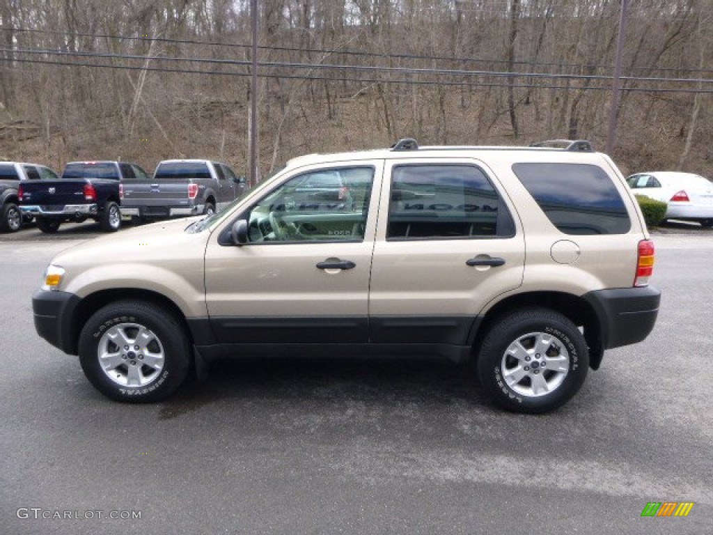 Dune Pearl Metallic 2007 Ford Escape XLT V6 4WD Exterior Photo #79165629