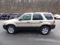 2007 Dune Pearl Metallic Ford Escape XLT V6 4WD  photo #5