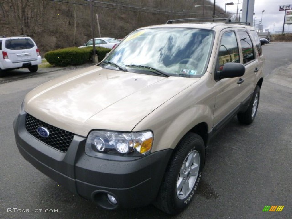 Dune Pearl Metallic 2007 Ford Escape XLT V6 4WD Exterior Photo #79165654