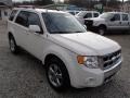 White Suede - Escape Limited V6 4WD Photo No. 3