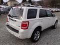 White Suede - Escape Limited V6 4WD Photo No. 4