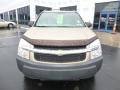 Sandstone Metallic - Equinox LS AWD Photo No. 8