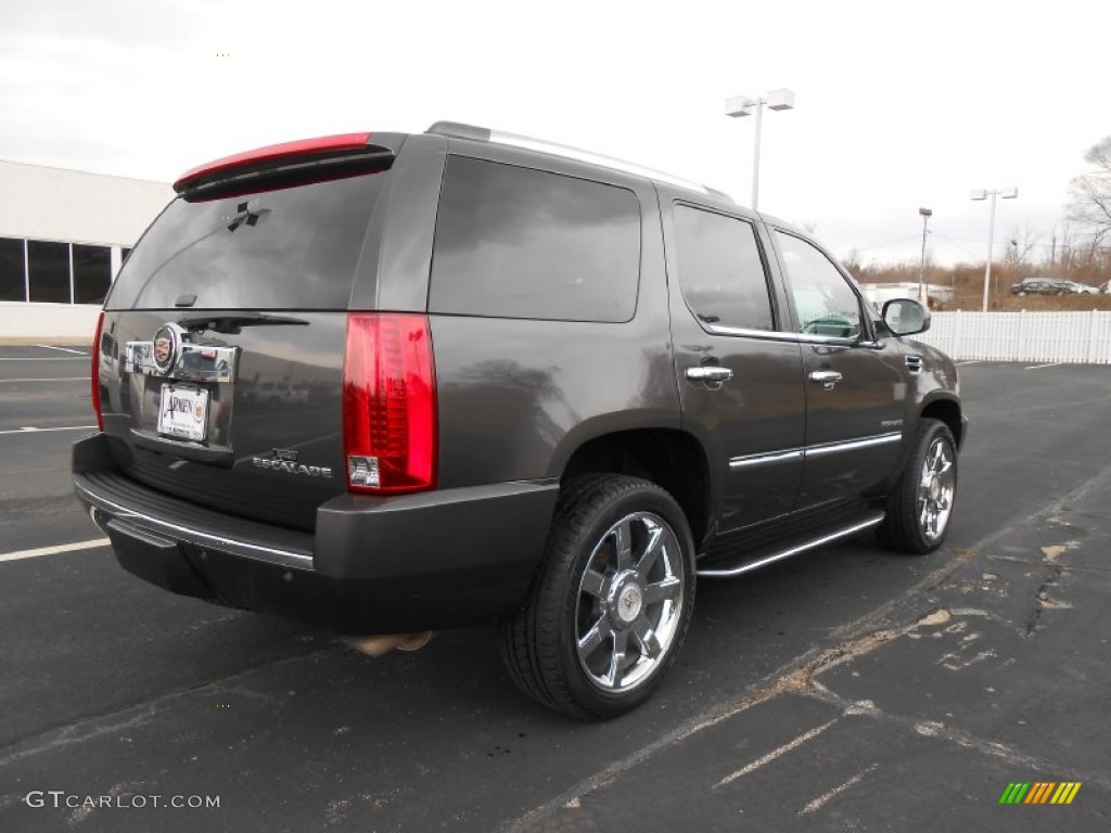 2010 Escalade Luxury AWD - Galaxy Gray / Cashmere/Cocoa photo #5