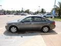 Willow Gray - Sonata GLS Photo No. 5