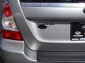 Crystal Gray Metallic - Forester 2.5 XT Limited Photo No. 5