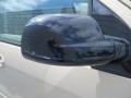 2007 Dune Pearl Metallic Ford Freestar SEL  photo #17