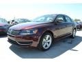 Opera Red Metallic - Passat 2.5L SE Photo No. 1