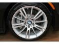 2010 Black Sapphire Metallic BMW 3 Series 335i Coupe  photo #35