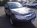 2013 Dark Gray Metallic Subaru Forester 2.5 X  photo #11