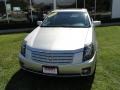 Light Platinum - CTS Sedan Photo No. 2