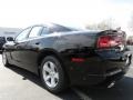 Pitch Black - Charger SE Photo No. 2