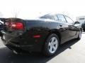 Pitch Black - Charger SE Photo No. 3