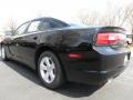 Pitch Black - Charger SE Photo No. 2