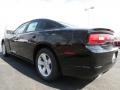 Pitch Black - Charger SE Photo No. 2