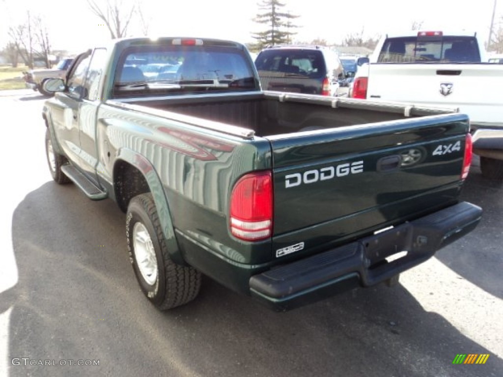 2000 Dakota Sport Extended Cab 4x4 - Forest Green Pearl / Agate photo #3