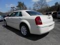 Cool Vanilla White - 300 Touring Photo No. 5