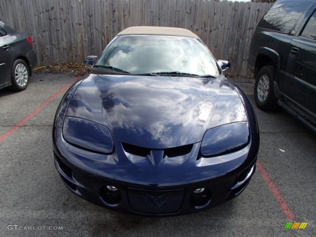2002 Firebird Trans Am Convertible - Navy Blue Metallic / Camel photo #2