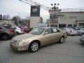 Light Cashmere Metallic - DTS Luxury Photo No. 42