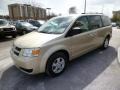 2010 White Gold Pearl Dodge Grand Caravan SE Hero  photo #3