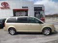 White Gold Pearl - Grand Caravan SE Hero Photo No. 7