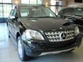 Black - ML 350 4Matic Photo No. 3