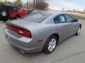 Billet Silver - Charger SE Photo No. 6
